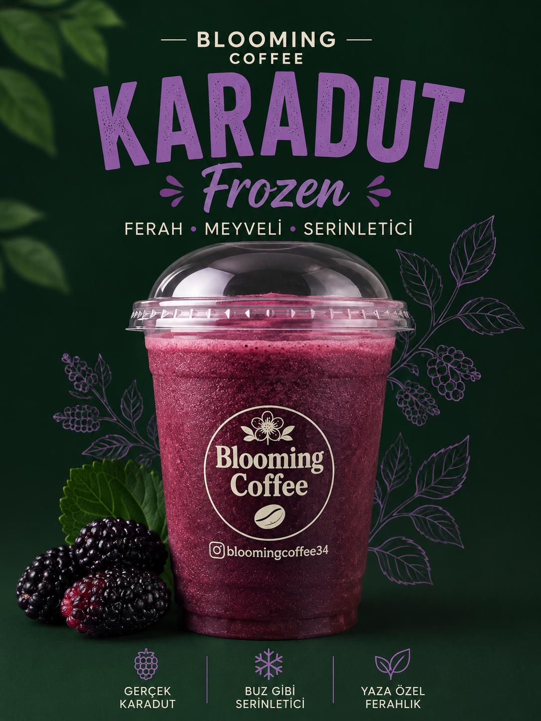 Karadut Frozen